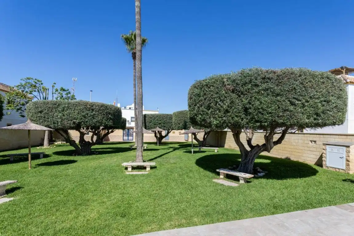 Jardí de Apartament en venda en Nueva Torrevieja - Aguas Nuevas