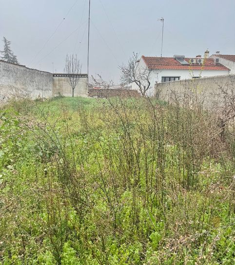 Foto 2 de Casa o chalet en venta en Calle Huertas, 8, Olivenza, Badajoz