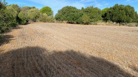 Foto 5 de Finca rústica en venda a El Almedral, Cádiz