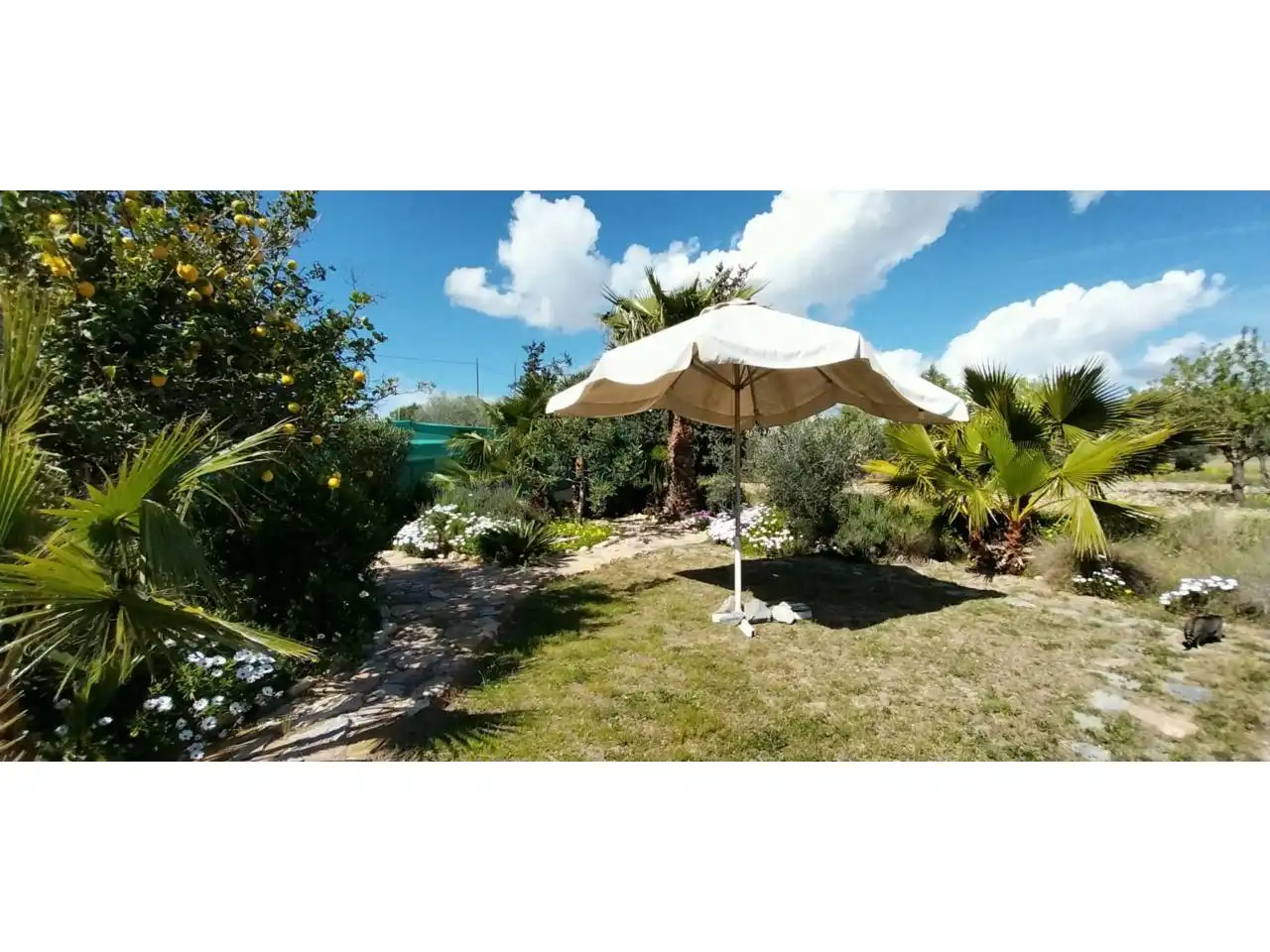 Jardí de Casa o xalet en venda en Cartagena amb Aire condicionat, Jardí privat i Terrassa