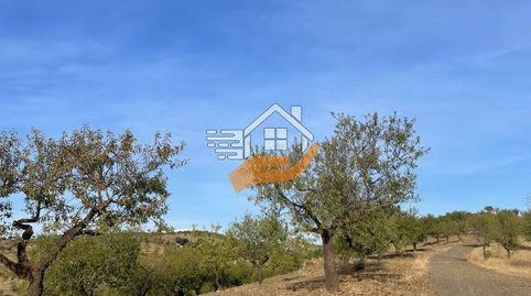 Finca Rúst. en venta en VélezRubio., immagine 5