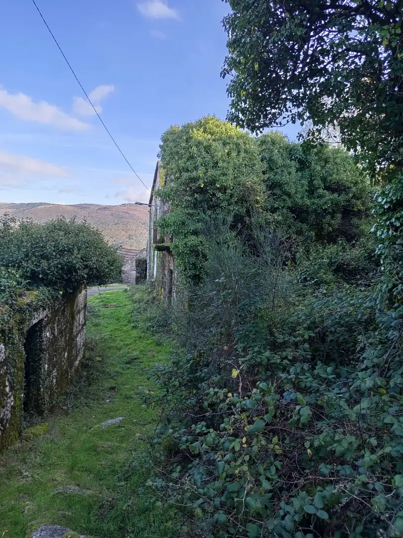 Vista exterior de Casa o chalet en venta en Covelo con Jardín privado y Balcón