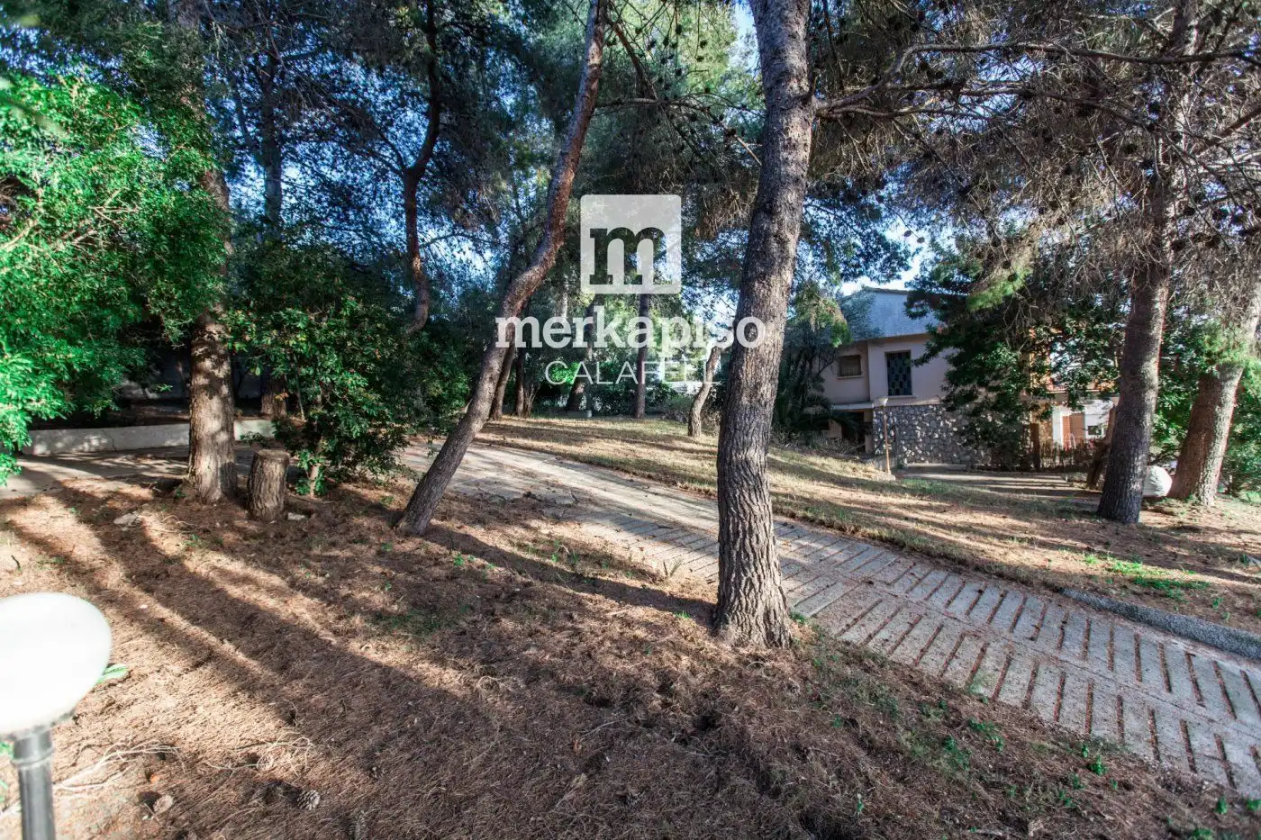 Terrain rustique à vendre à Mèxic, imagen 4