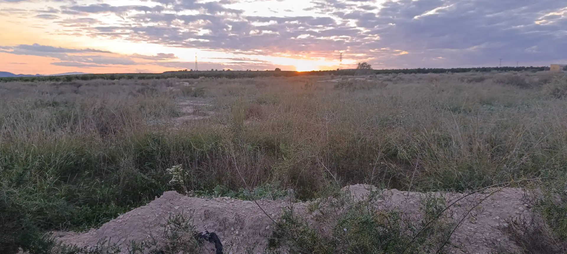 Finca rústica en venda en Elche / Elx amb Jardí privat