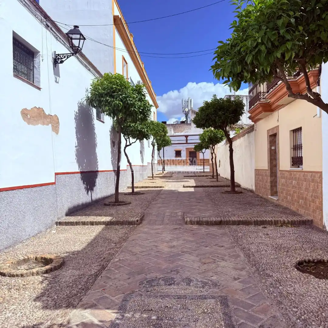 Vista exterior de Casa o chalet en venta en Lebrija