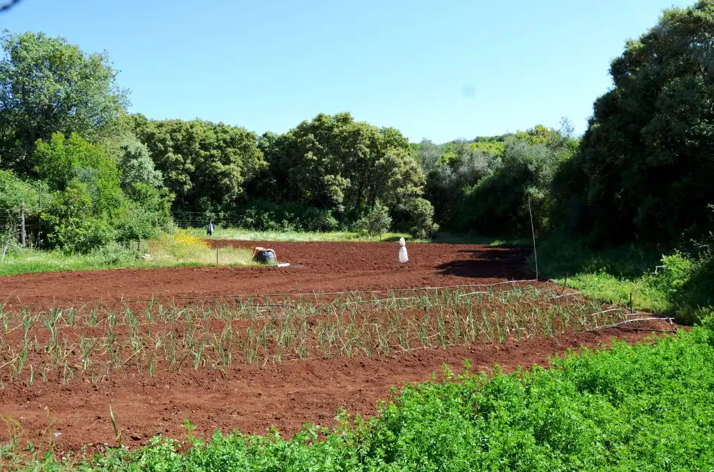 Terreni e lotti in vendita a Castaño del Robledo, imagen 25