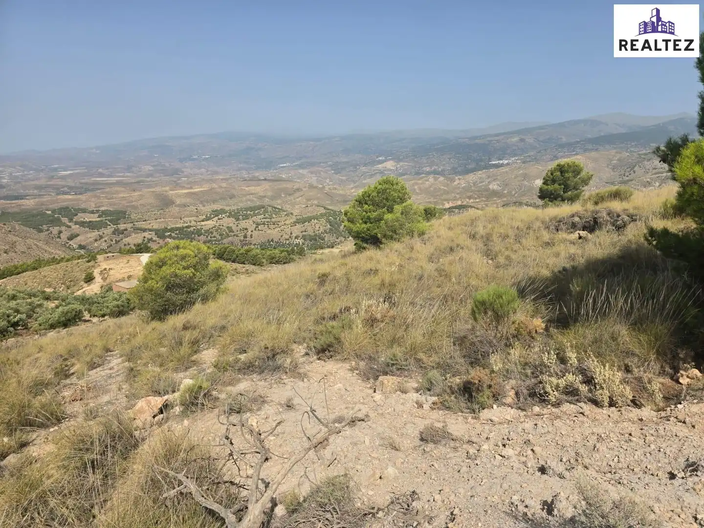 Terrain rustique à vendre à Alcolea, imagen 11