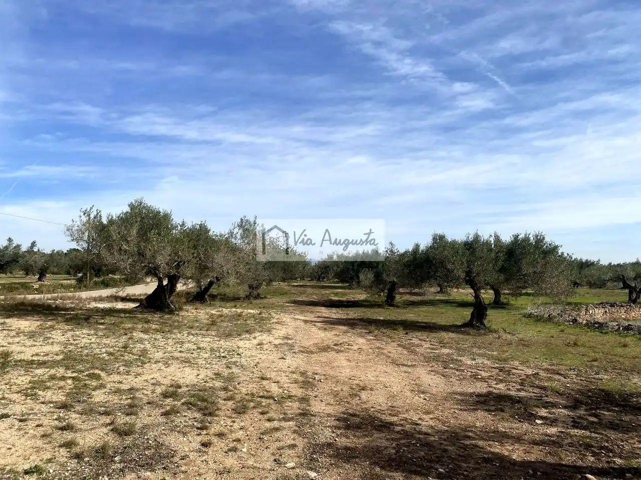 Terreno rustico in vendita a Planas, imagen 8