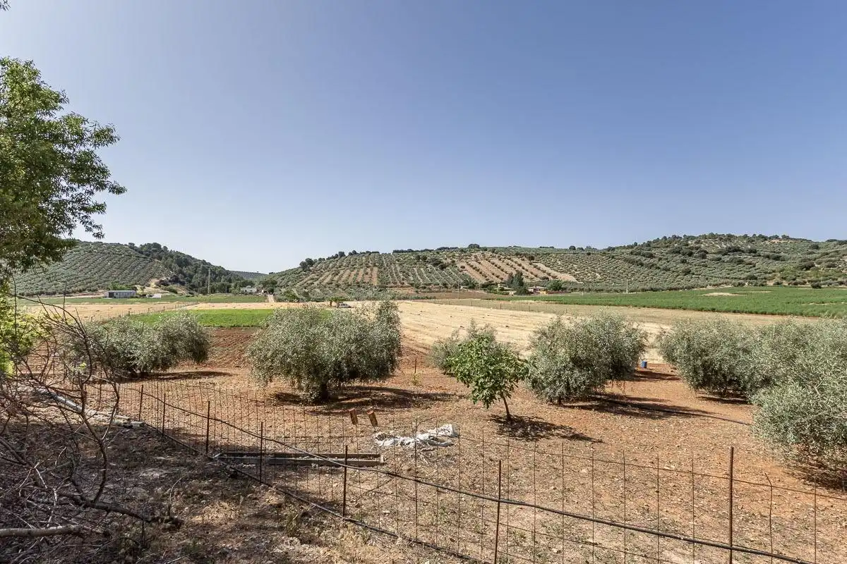 Land for sale in Montefrío