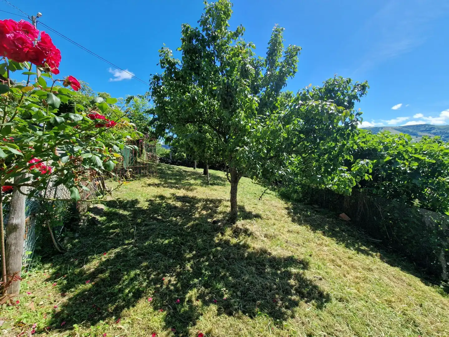 Finca rústica en venta en Cangas del Narcea con Calefacción, Jardín privado y Terraza