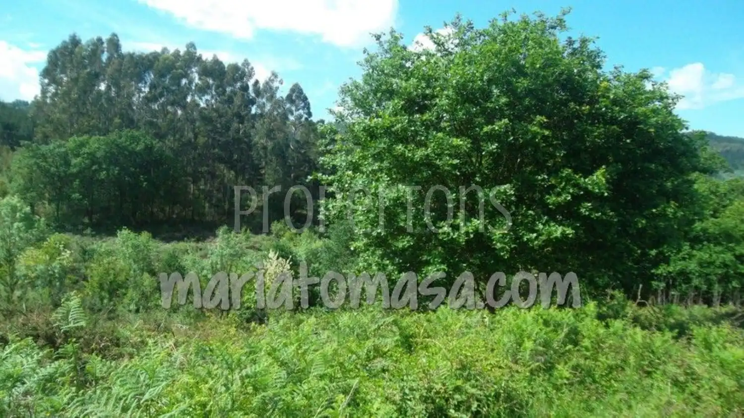 Lands and plots for sale in Laukiz, imagen 4