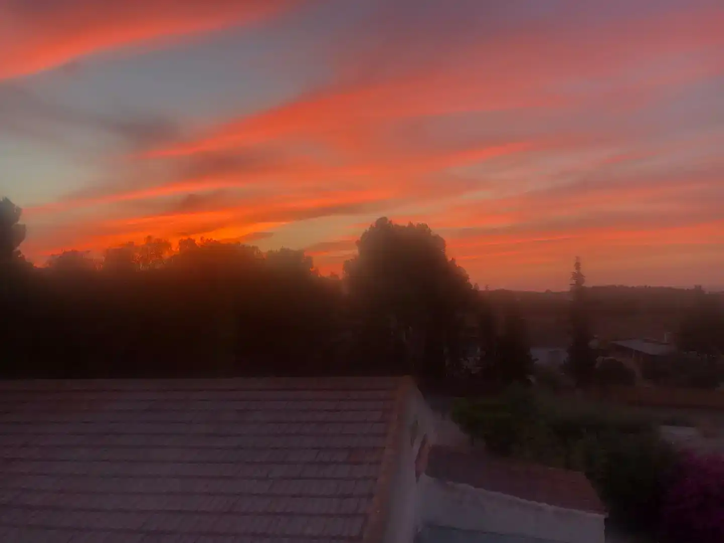Vista exterior de Casa o xalet en venda en  Murcia Capital amb Aire condicionat, Terrassa i Balcó