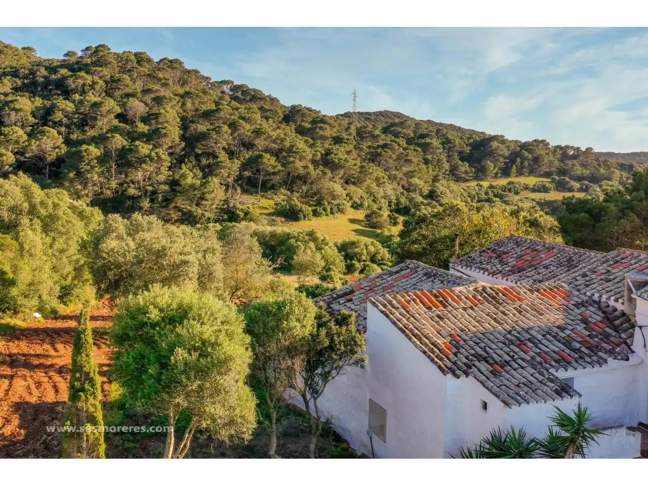 Rural land for sale in Ciutadella, imagen 19