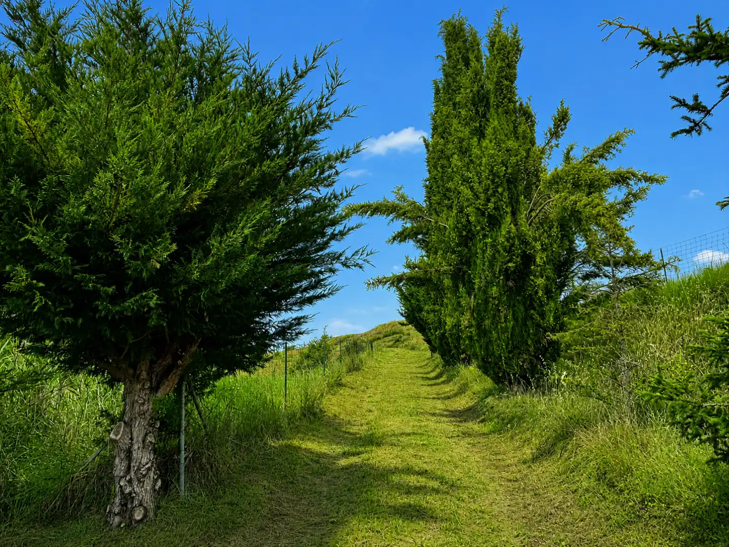 Vista exterior de Finca rústica en venda en Castrillo de Riopisuerga amb Jardí privat i Traster