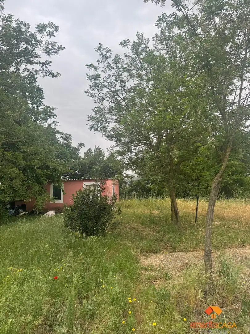 Casa rustica in vendita a Oeste, imagen 6