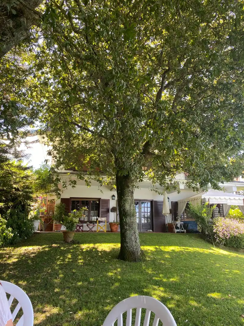 Jardín de Casa o chalet en venta en Vigo  con Calefacción, Jardín privado y Parquet