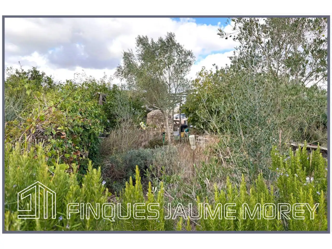 Finca rústica en venta en Maria de la Salut con Jardín privado