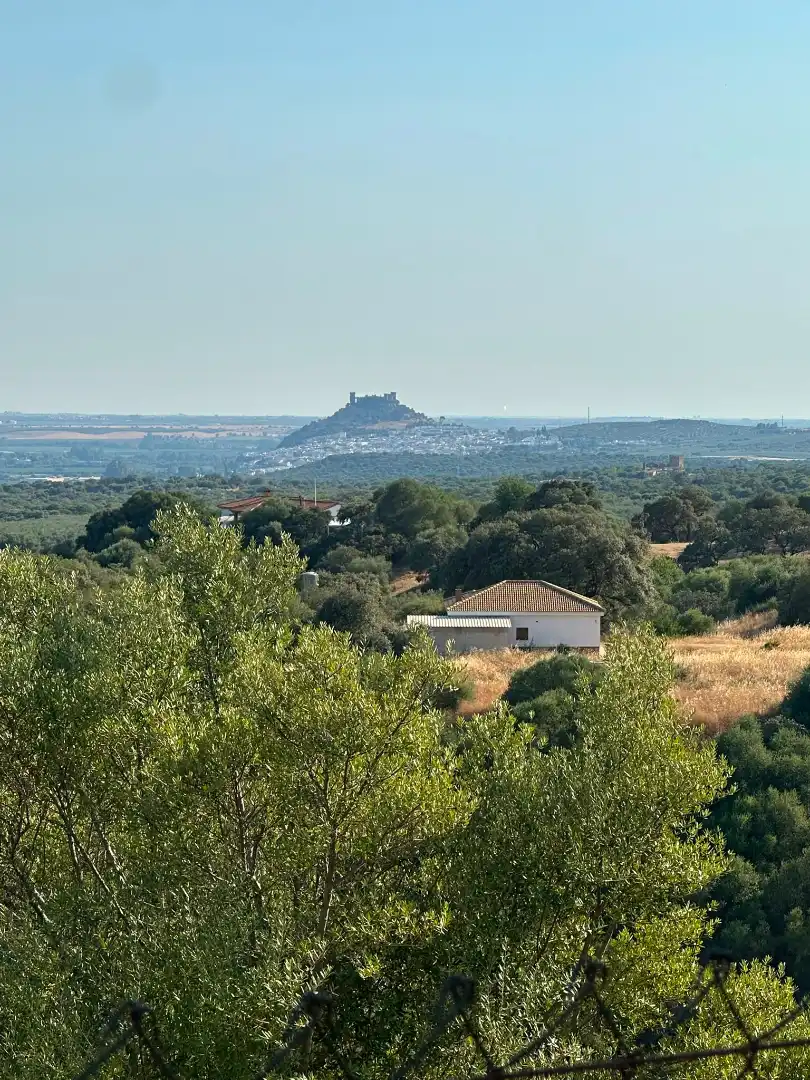 Chalet con piscina en venta en Almodóvar del Río