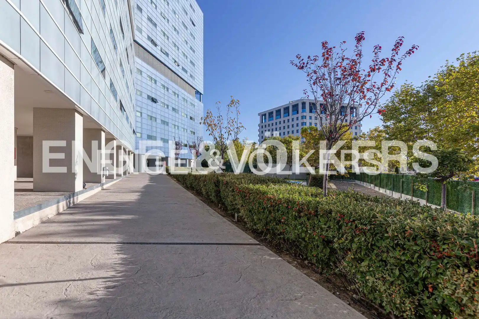 Loft con piscina en venta en Vega de la Moraleja, imagen 13