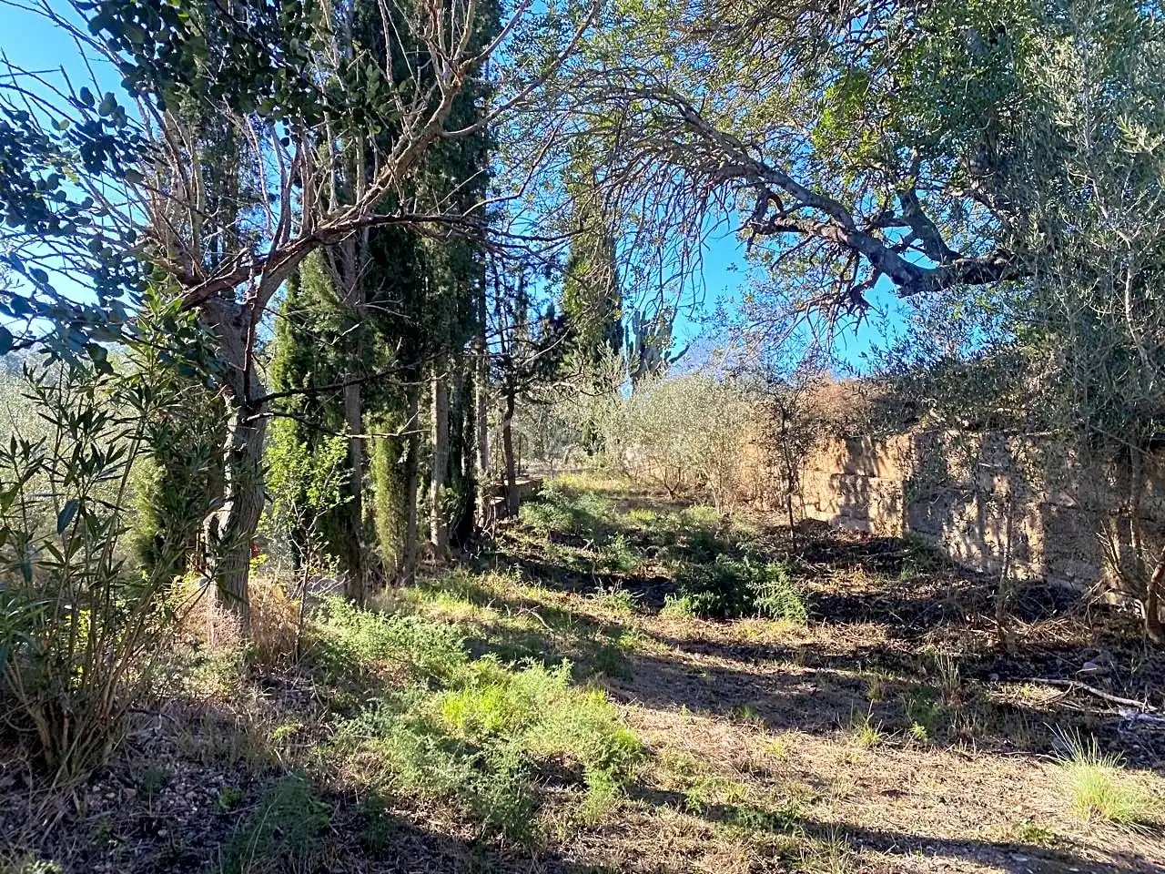 Terreno rustico in vendita a Pas de Berenguer, imagen 19