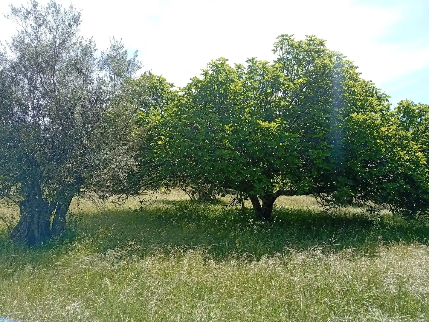 Terreni e lotti in vendita a Villanueva de la Vera, imagen 16