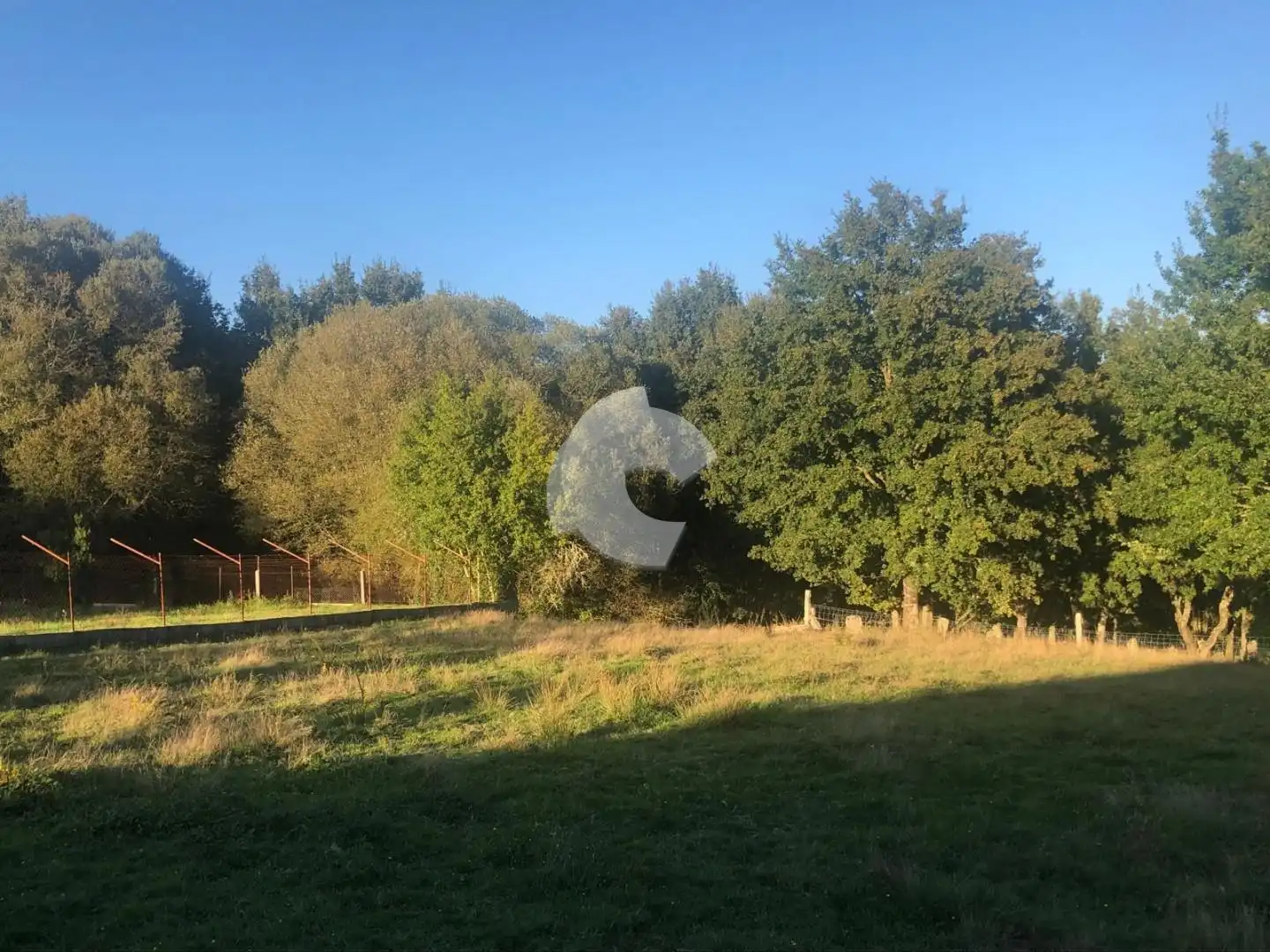 Terreni e lotti in vendita a Nogueira de Ramuín, imagen 20