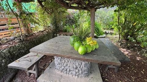 Foto 3 de Casa o xalet en venda a Carretera la Vega la Montañeta, Garachico, Santa Cruz de Tenerife
