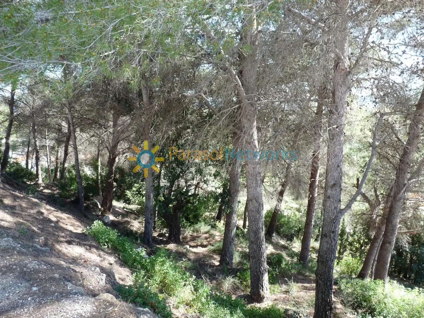 Terreno residencial en venta en Oliva pueblo, imagen 2