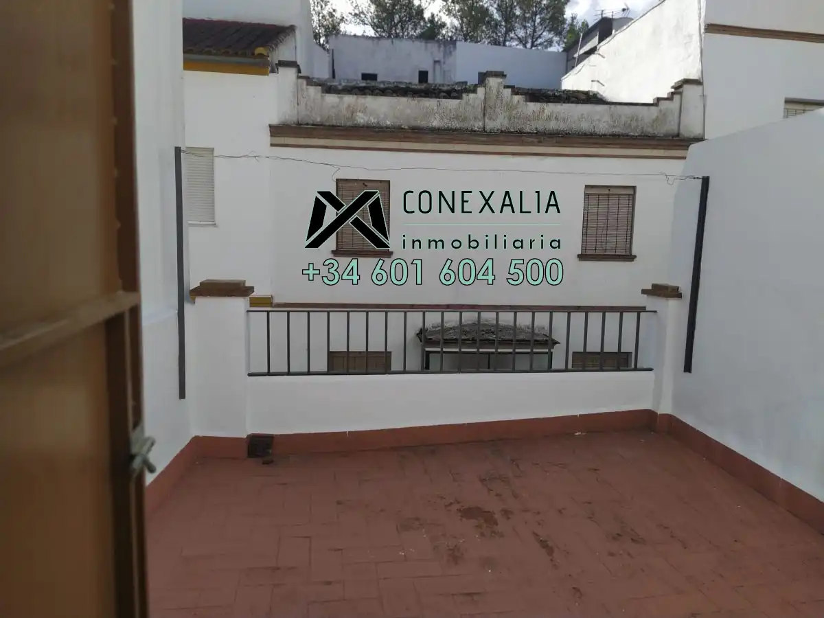 Exterior view of Houses for sale in Olvera  with Terrace and Balcony