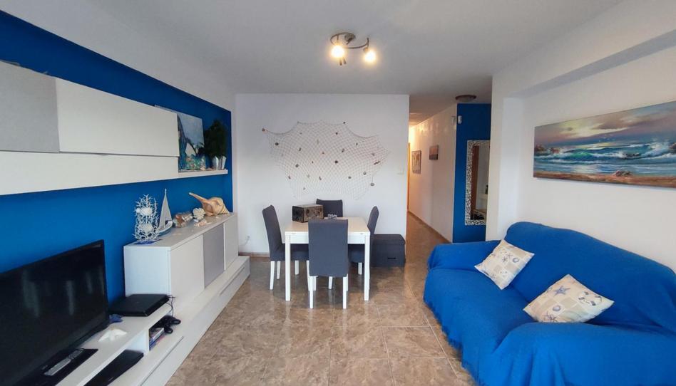 Photo 1 of Apartment to rent in Oliva Playa, Valencia