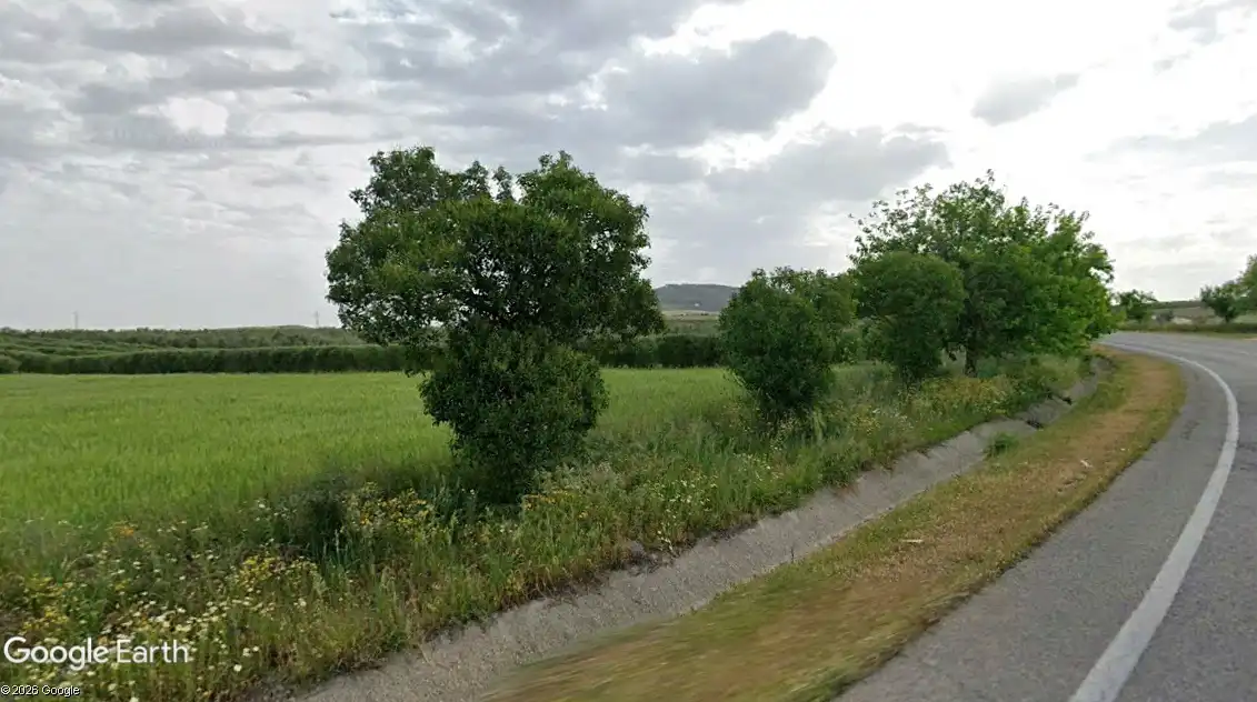 Terreny rústic en venda a Montellano, imagen 5