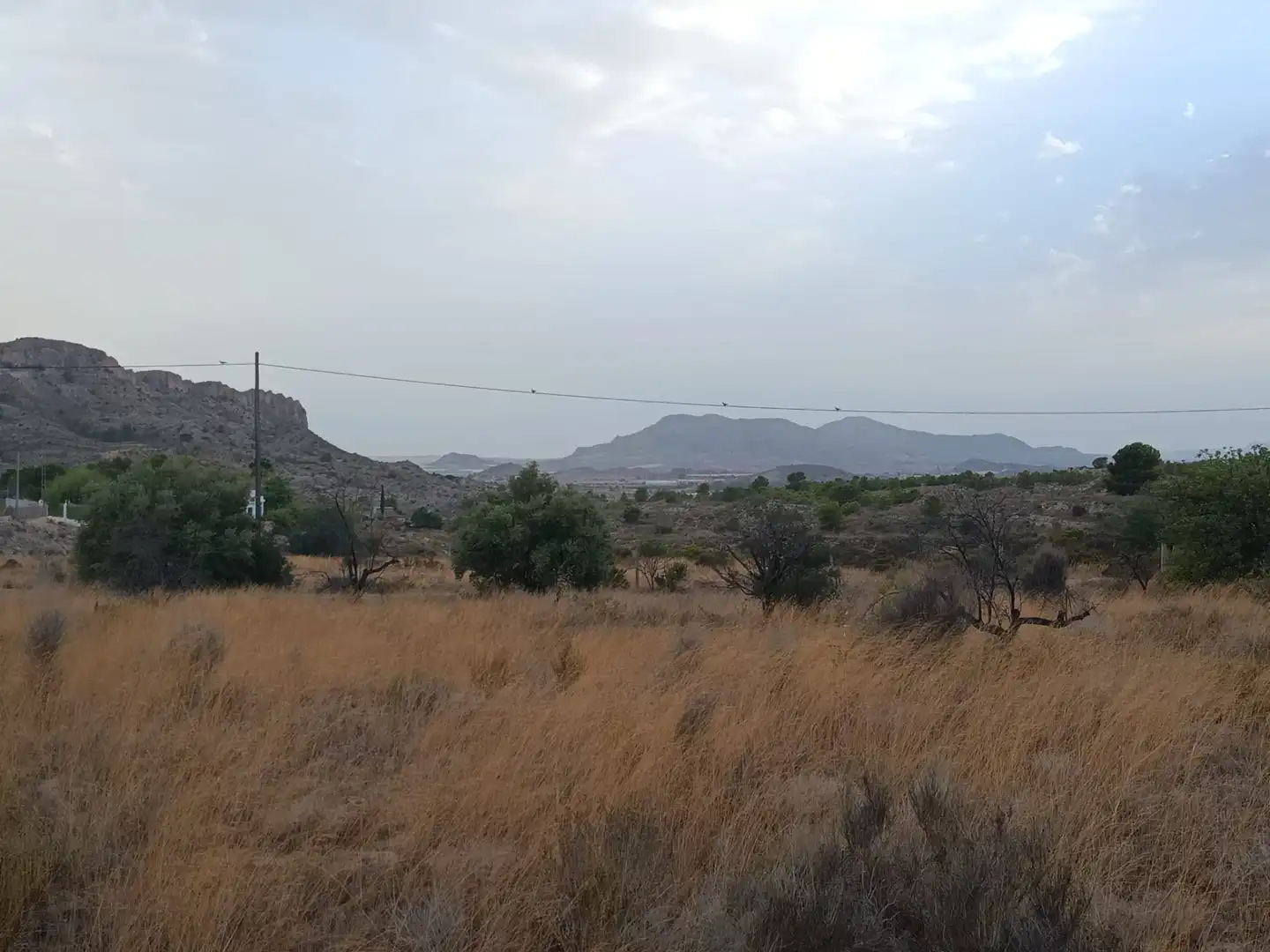 Terreny rústic en venda a Agost, imagen 3