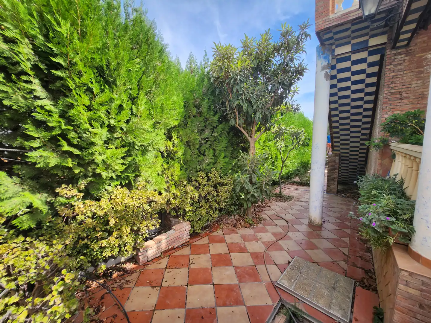Jardí de Casa o xalet en venda en El Viso del Alcor amb Aire condicionat, Calefacció i Jardí privat