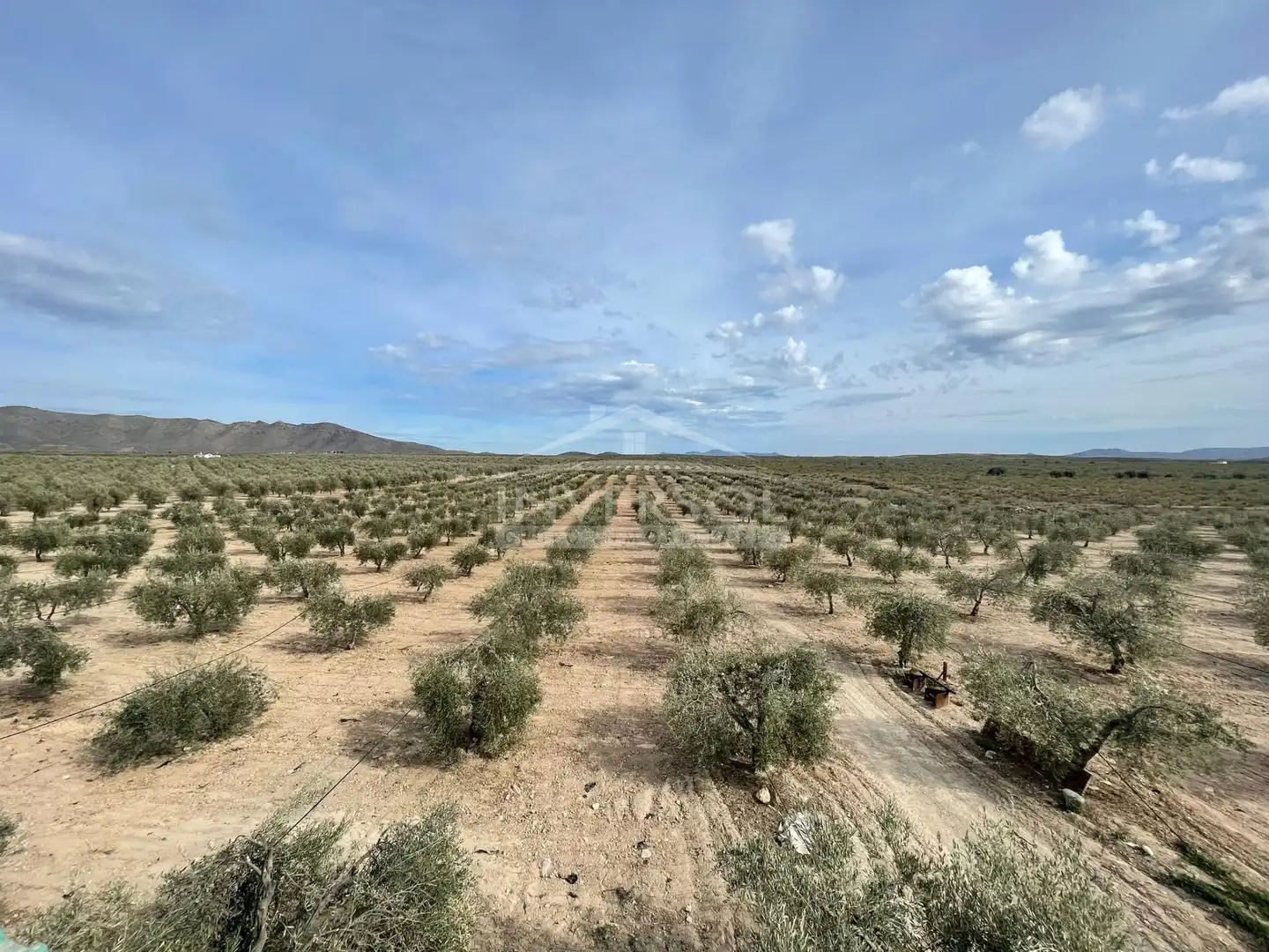 Terreno en venta en Uleila del Campo