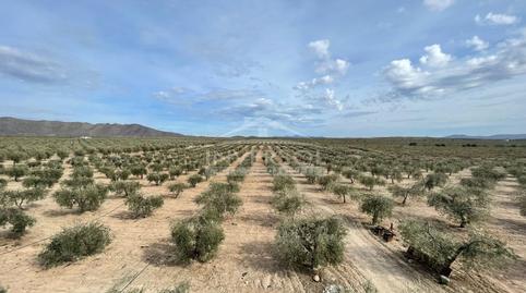 Foto 3 von Grundstücke zum Verkauf in Calle Monteagud, 3, Uleila del Campo, Almería