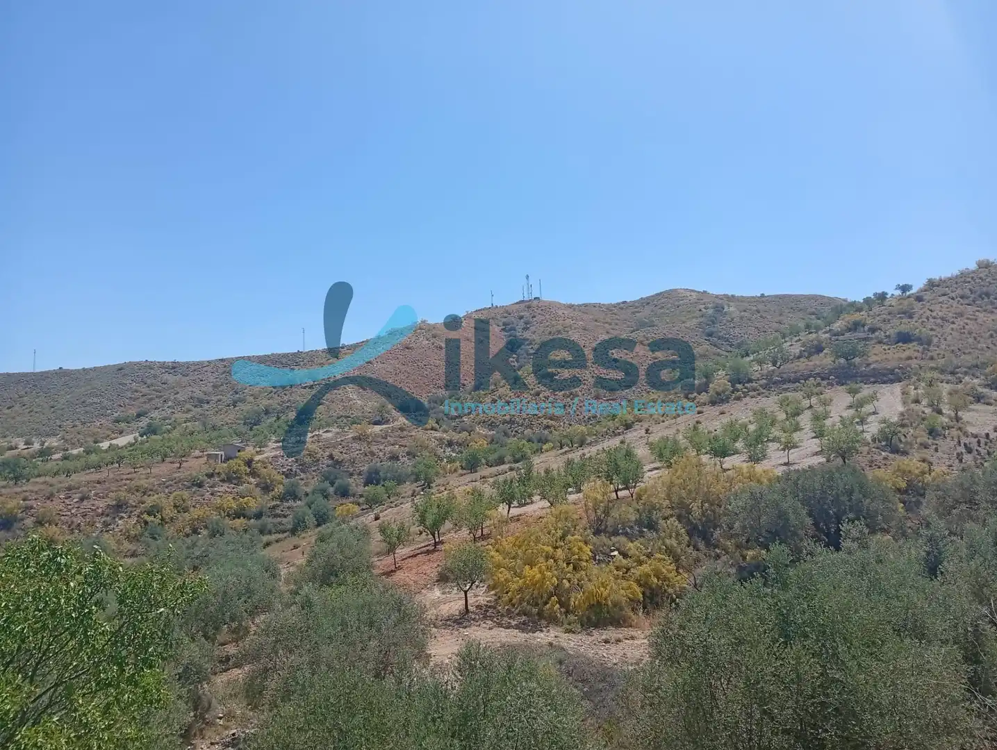 Lands and plots for sale in Cantoria, imagen 11