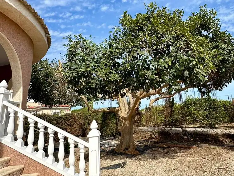 Villa con giardino in vendita a Presidente de la Generalitat 279, imagen 23