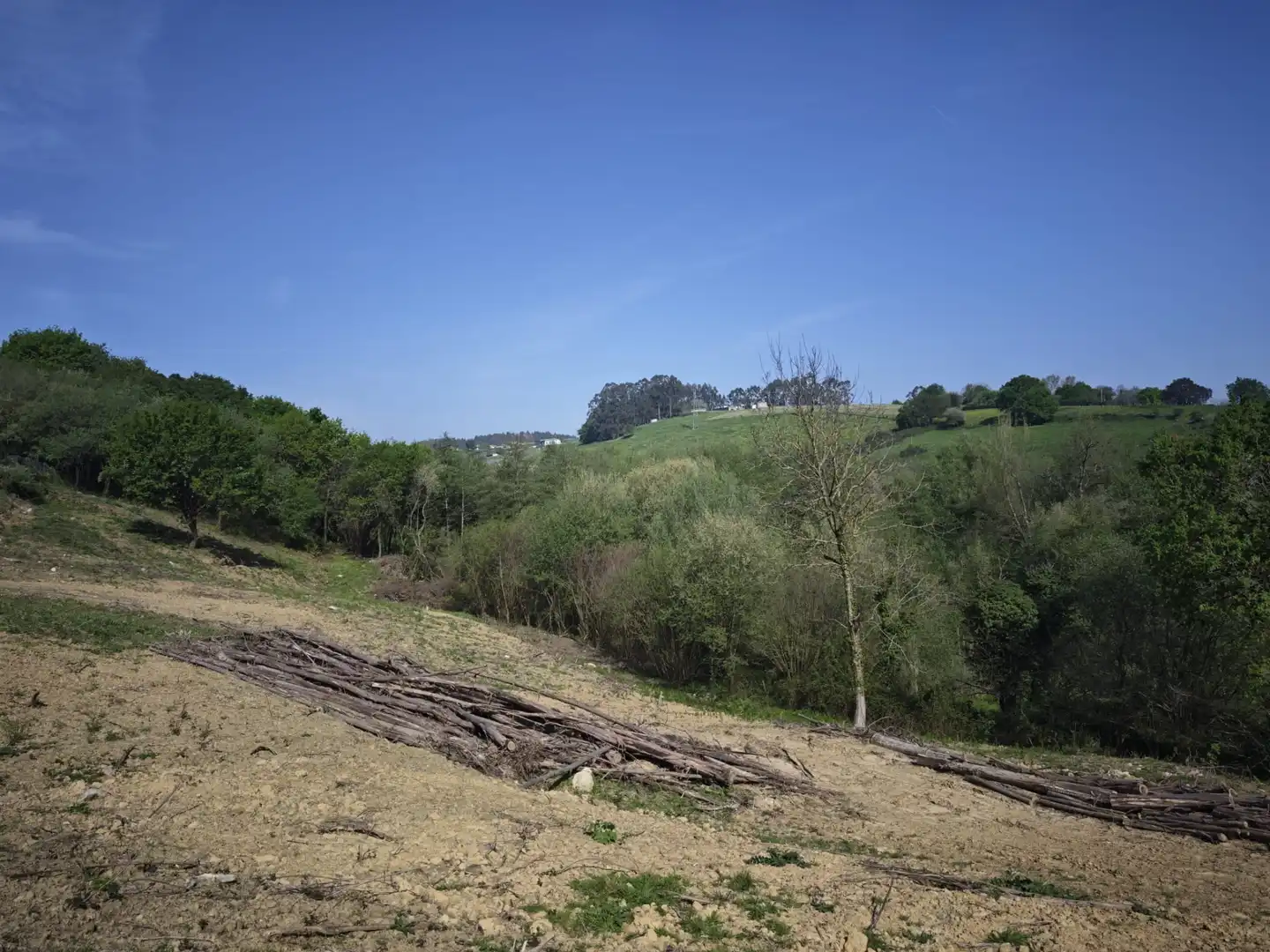 Terreni e lotti in vendita a Oruña, imagen 7