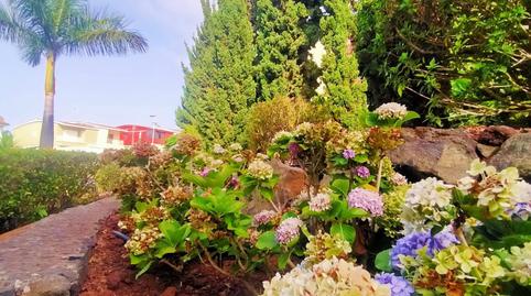 Foto 4 de Pis en venda a La Quinta, Santa Cruz de Tenerife