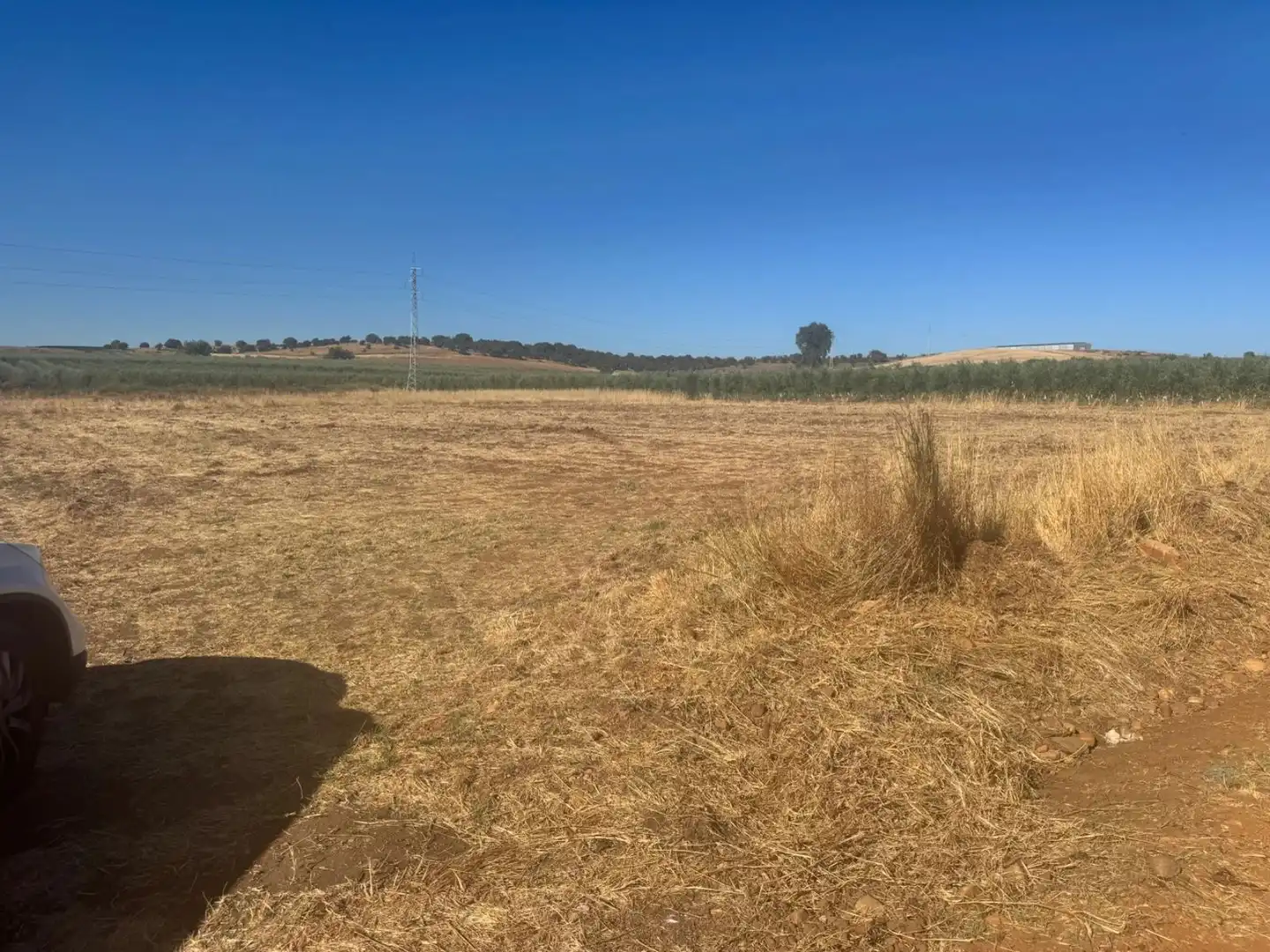 Terreno rústico en venta en Talavera la Real, imagen 3