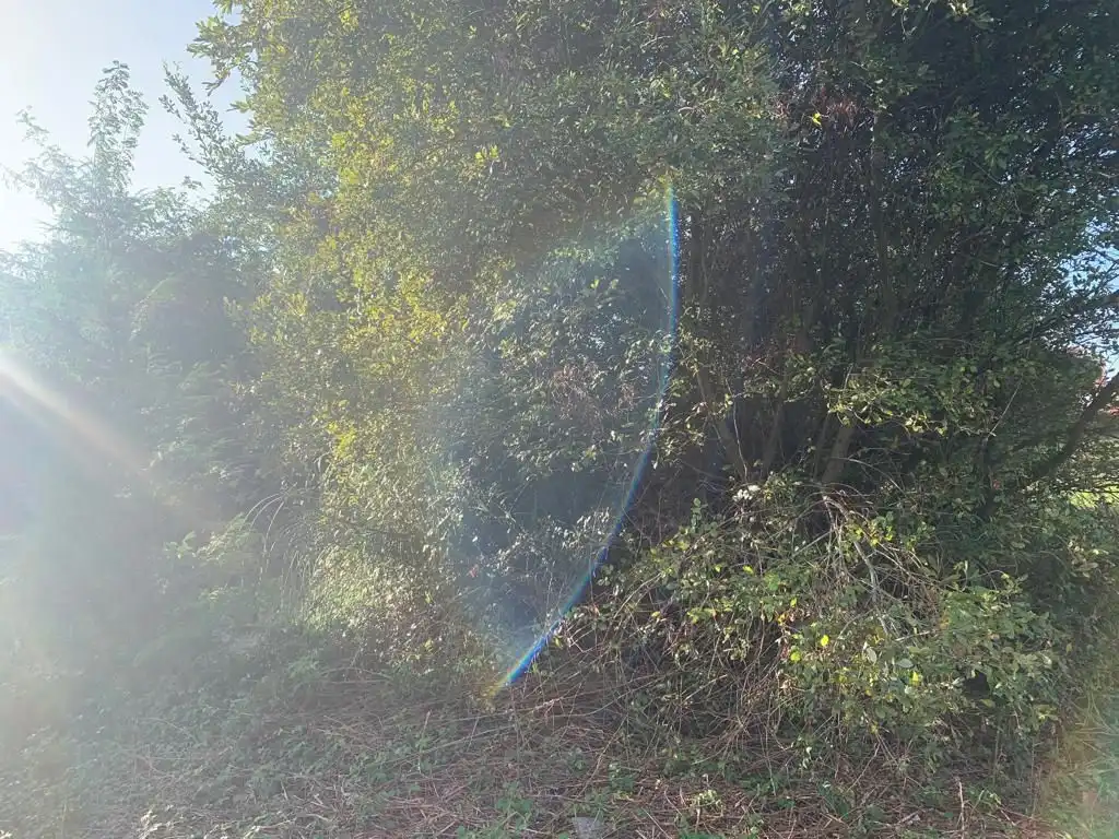 Terreno residenziale in vendita a Coto Núcleo, imagen 8