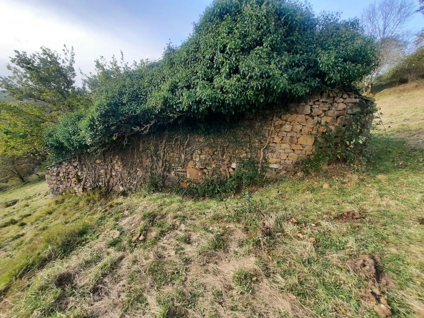 Casa rústica en venda a San Pedro del Romeral, imagen 56