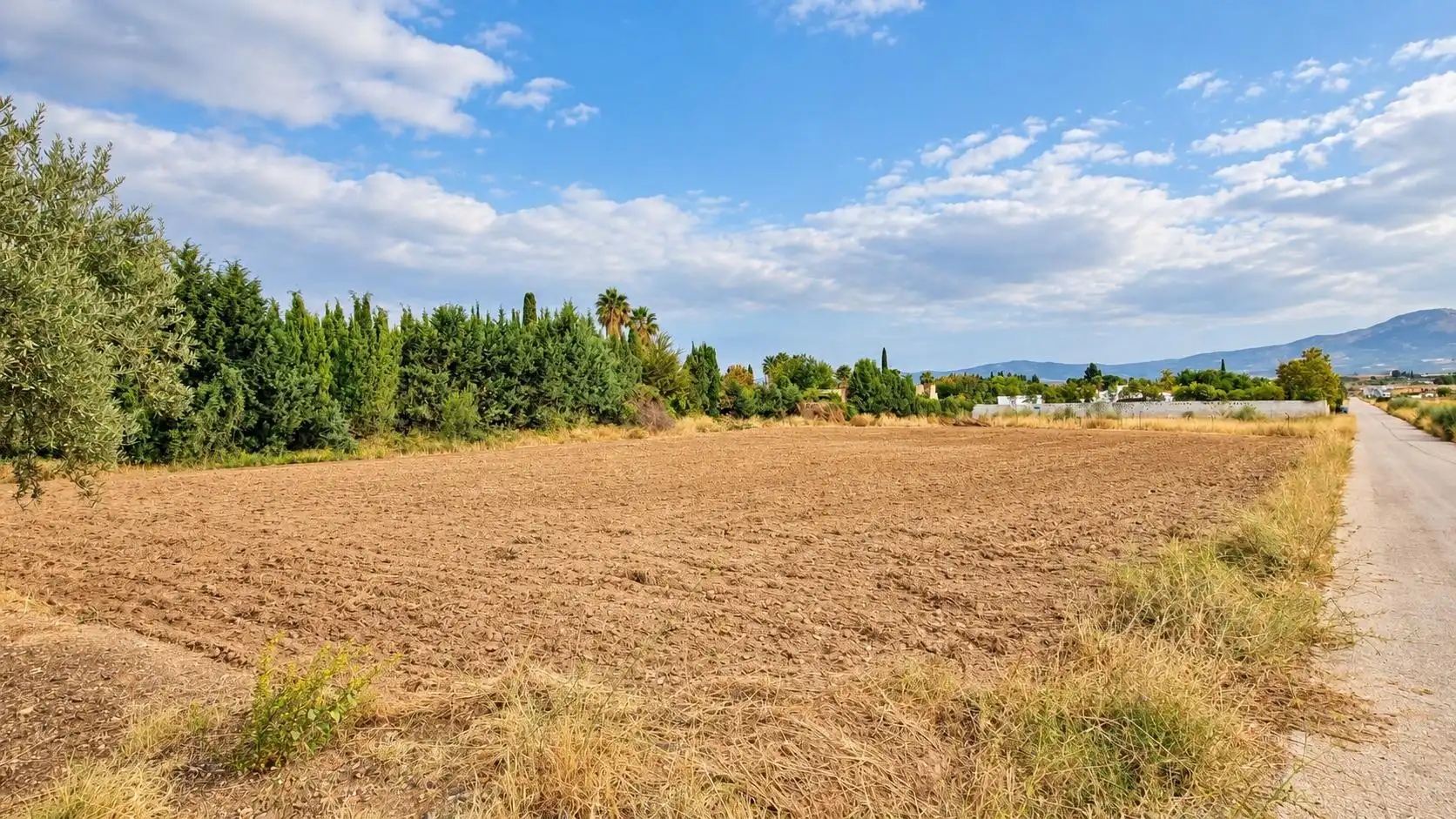 Terreno rústico en venta en Moraleda de Zafayona, imagen 21