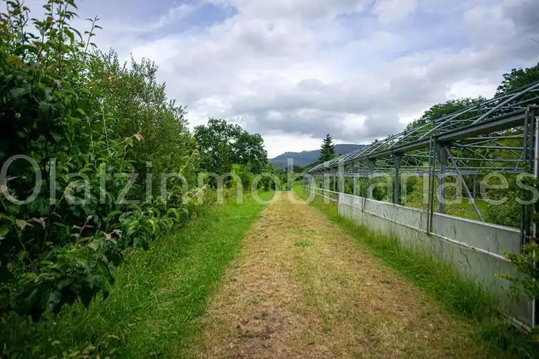 Country homes for sale in Sopuerta