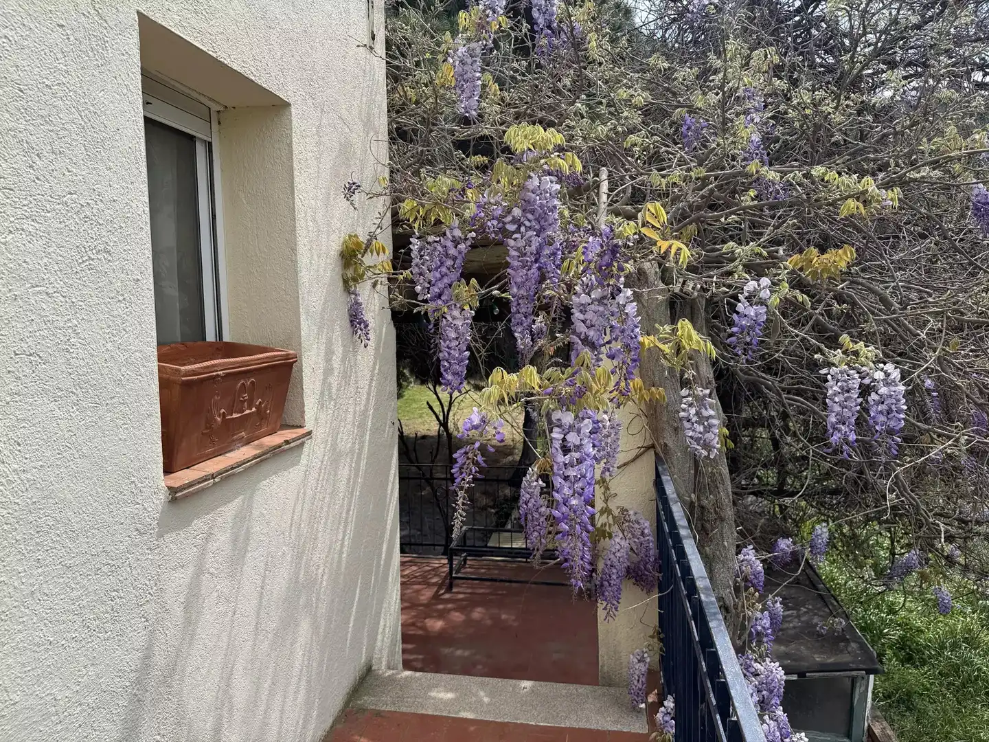 Terraza de Casa o chalet en venta en Colera con Jardín privado y Terraza