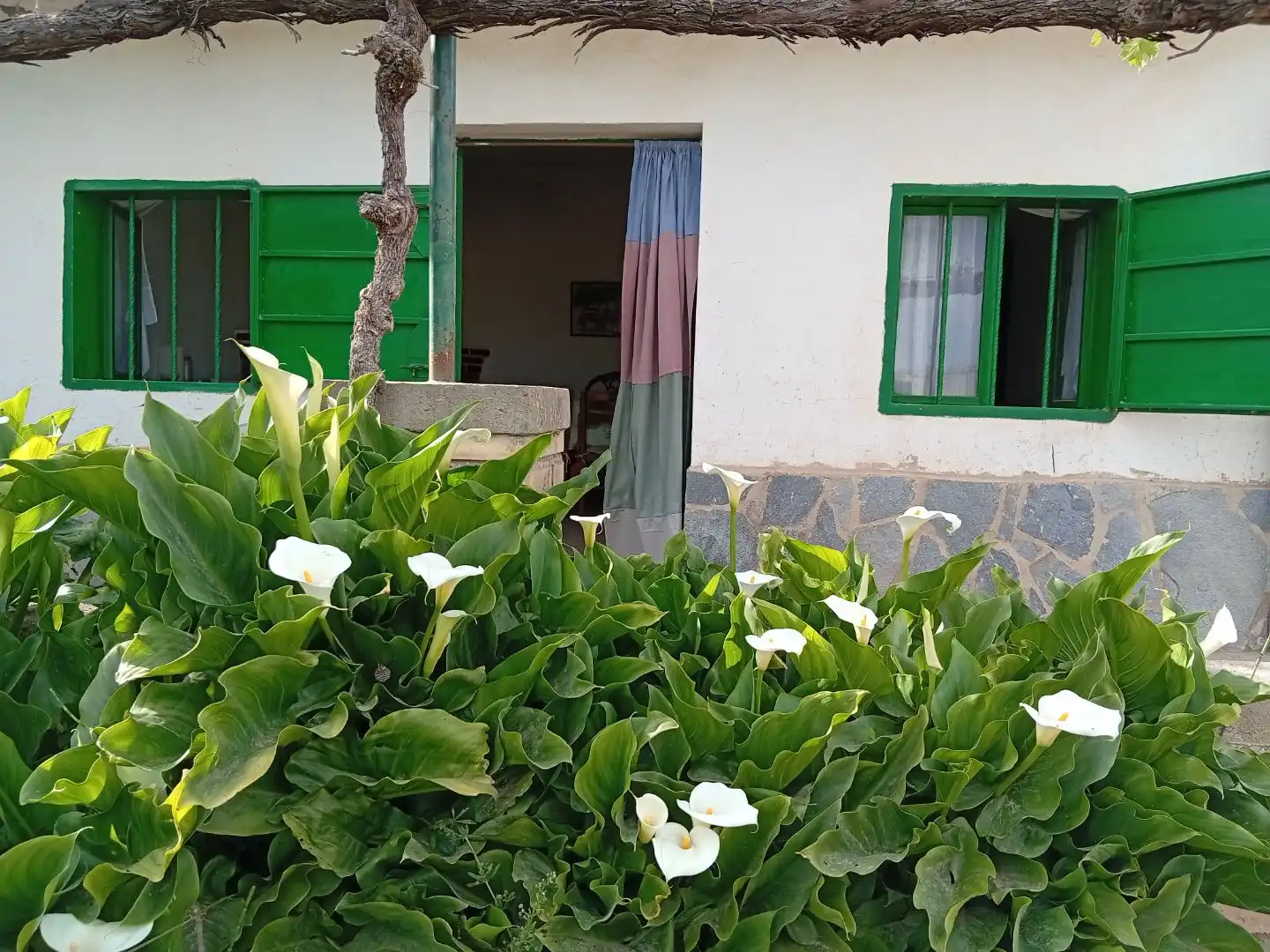 Garten von Grundstücke zum Verkauf in Tudela