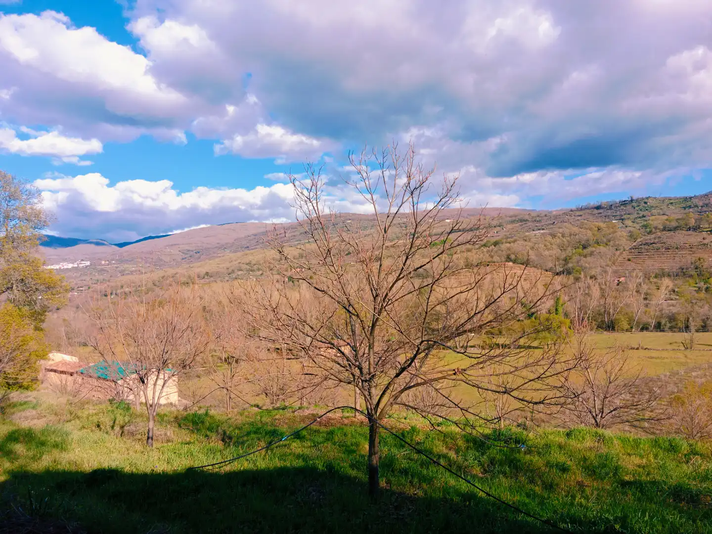 Vista exterior de Terreno en venta en El Torno 