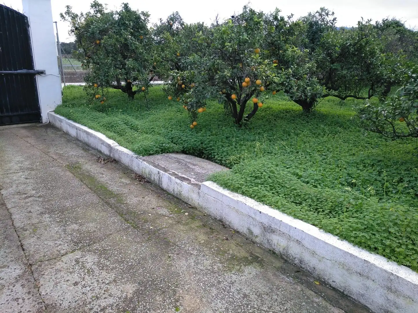 Villa con piscina in vendita a Urbanitzacions i Pedanies Nord, imagen 55