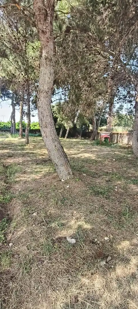 Casa o xalet en venda en Picassent