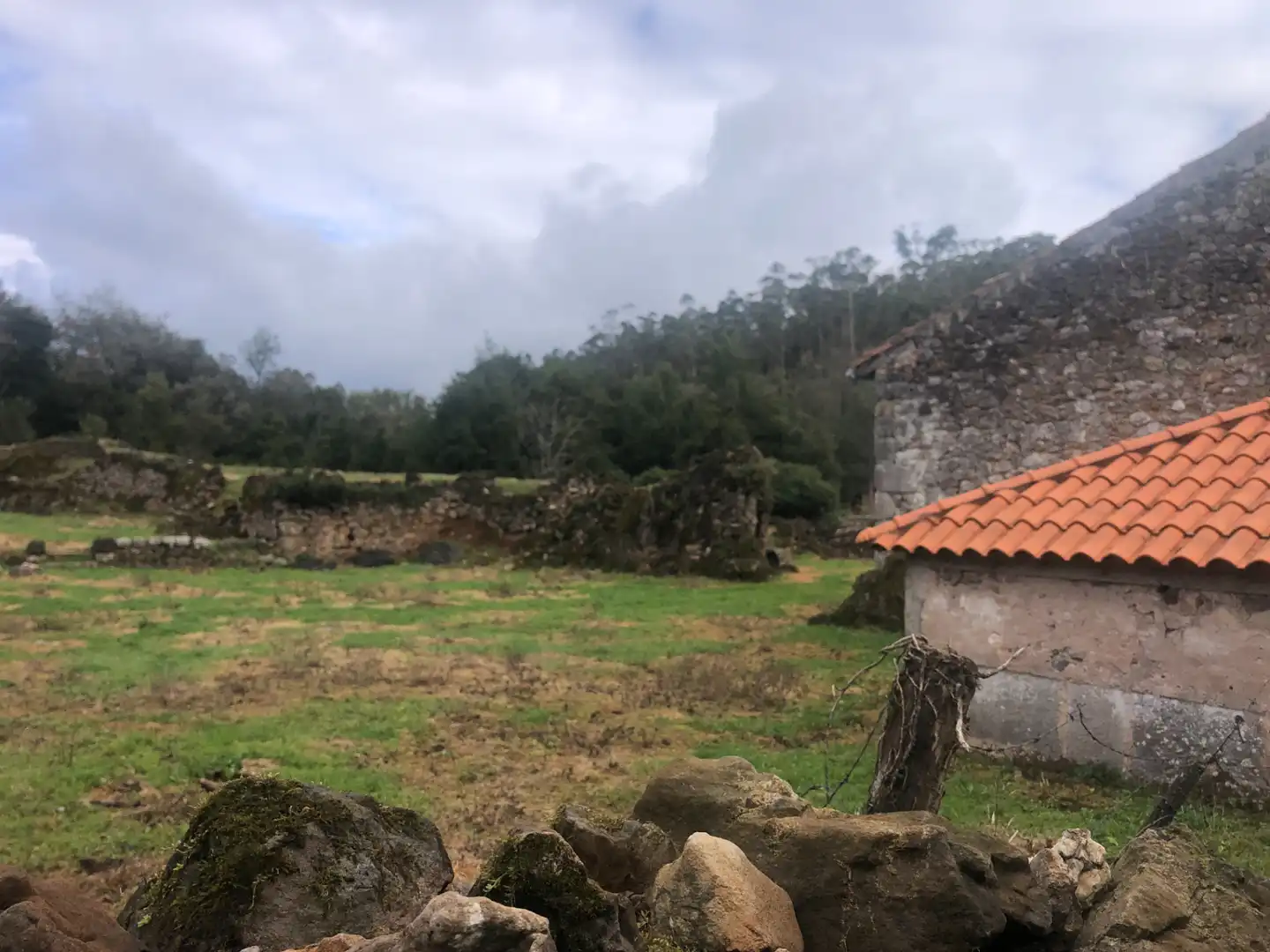 Vista exterior de Finca rústica en venda en Entrambasaguas amb Jardí privat i Traster